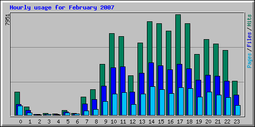 Hourly usage for February 2007